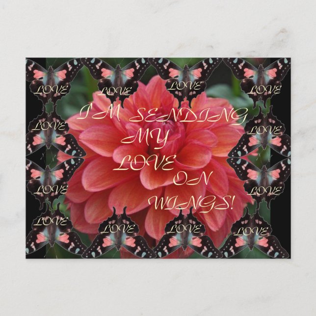 Liebe AUF DIE FLÜCHEN! Postkarte (Vorderseite)