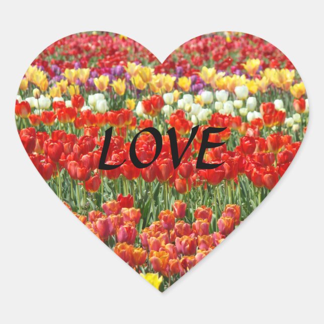 LIEBE Aufkleber Herzform Red Tulips Blume (Vorderseite)