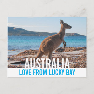 Liebe aus Australien Kangaroo Lucky Bay Foto Postkarte