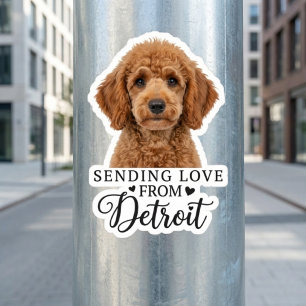 Liebe aus Detroit senden Aufkleber