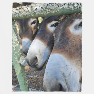 Liebe aus Esel Fleece Blanket, groß 60" x 80"