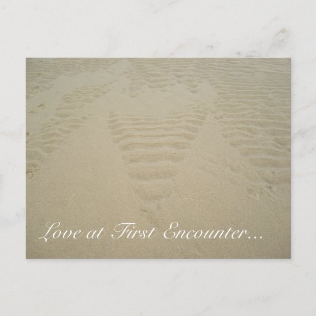 Liebe bei First Encounter... Postkarte (Vorderseite)
