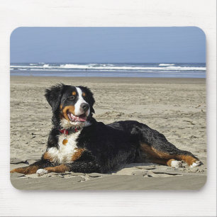Liebe Berner Sennenhund Welpe Mauspad