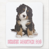 Liebe Berner Sennenhund Welpe Mauspad