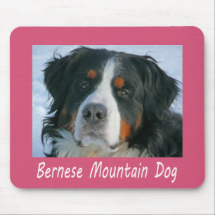 Liebe Berner Sennenhund Welpe Rosa Mauspad