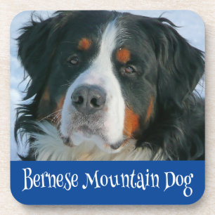 Liebe Berner Sennenhund Welpe Trinkuntersetzer Getränkeuntersetzer