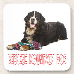 Liebe Berner Sennenhund Welpen Hund Untersetzer Se