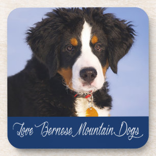 Liebe Berner Sennenhund Welpen Hund Untersetzer Se