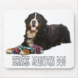 Liebe Berner Sennenhund Welpen Mauspad