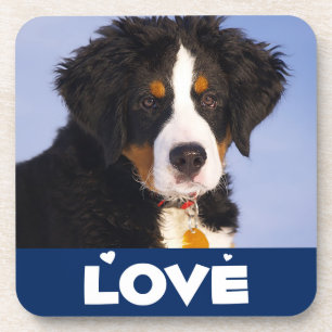 Liebe Berner Sennenhund Welpen Untersetzer Set