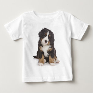 Liebe Bernese Mountain Dog Puppy Tee Shirt