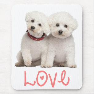 Liebe Bichon Frise Welpe Hund Computer Mousepad