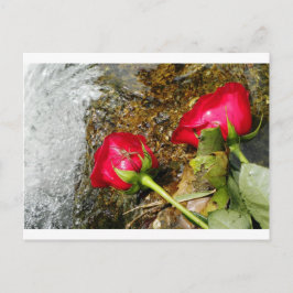 Liebe Bites Postkarte