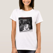 Liebe Black & White Dog Foto