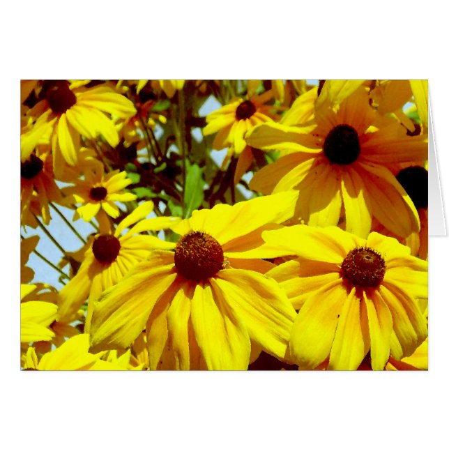 Liebe Blume_ (Vorderseite (Horizontal))