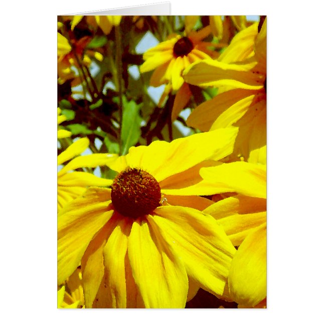 Liebe Blume_ (Vorne)