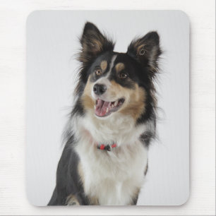 Liebe Border Collie Welpe Dog Mousepad