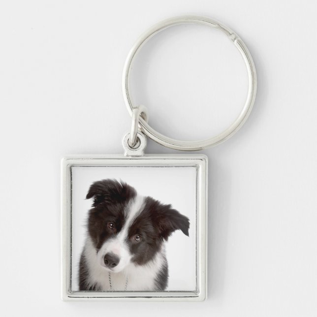 Liebe Border Collie Welpe Hund Schlüsselanhänger (Vorne)