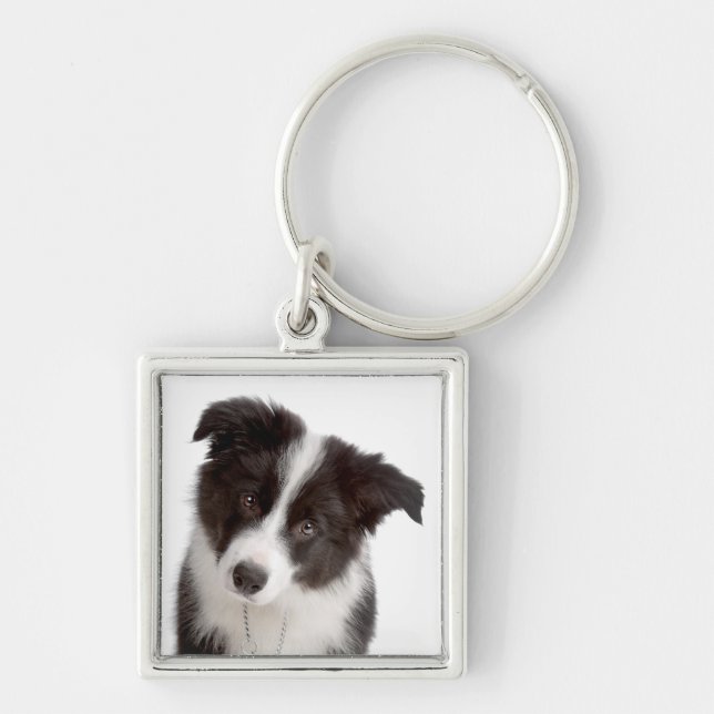 Liebe Border Collie Welpe Hund Schlüsselanhänger (Vorne)