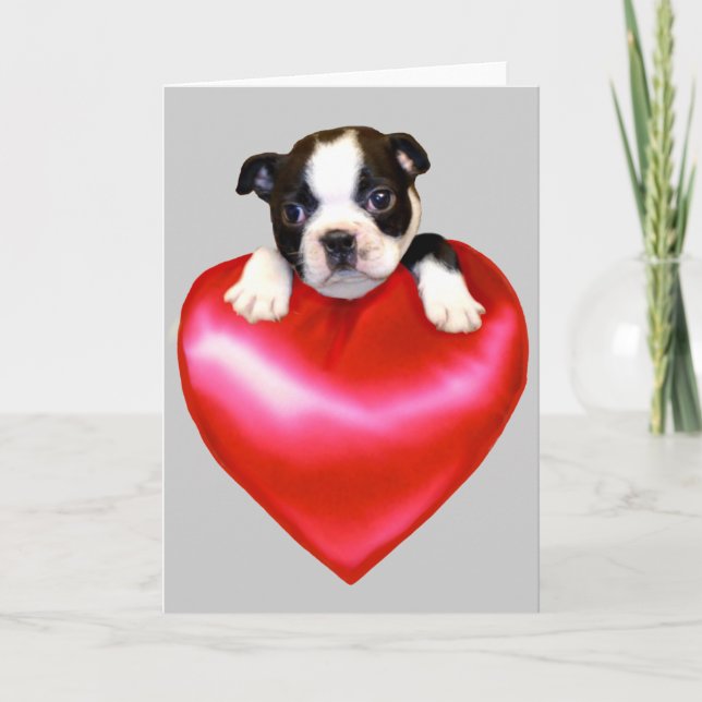 Liebe Boston Terrier Grußkarte Karte (Vorderseite)