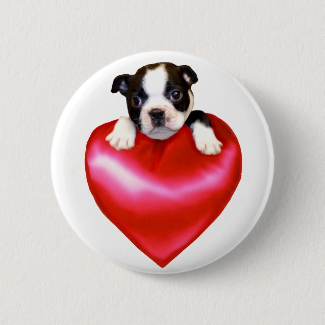 Liebe-Boston-Terrierknopf Button (Vorderseite)