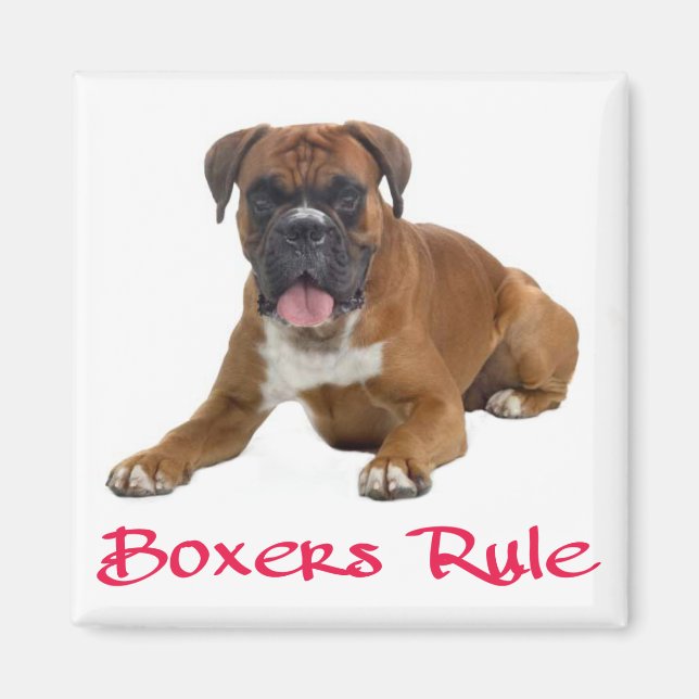 Liebe Boxer Puppy Dog Kühlschrankmagnet (Vorne)