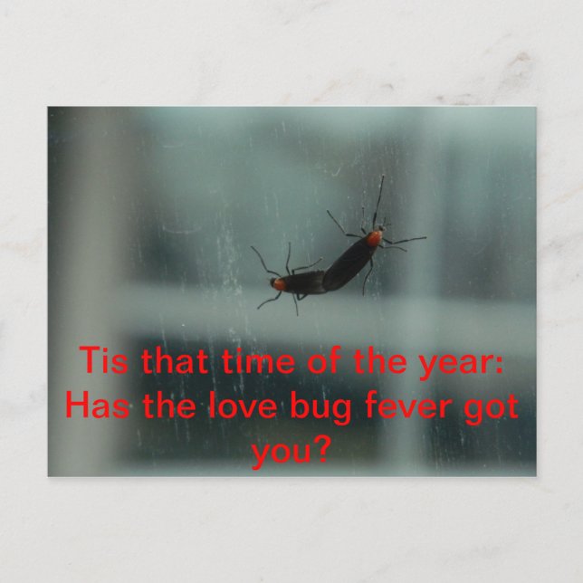 Liebe Bug Fieber Postkarte (Vorderseite)