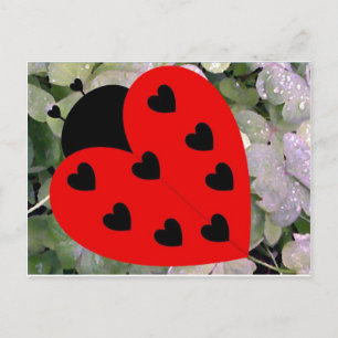 Liebe Bug Postkarte