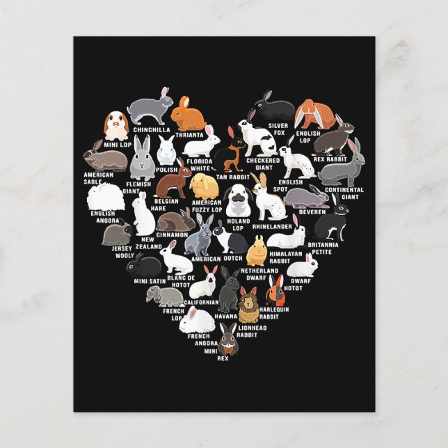 Liebe Bunnies Funny Rabbit Heart (Vorderseite)