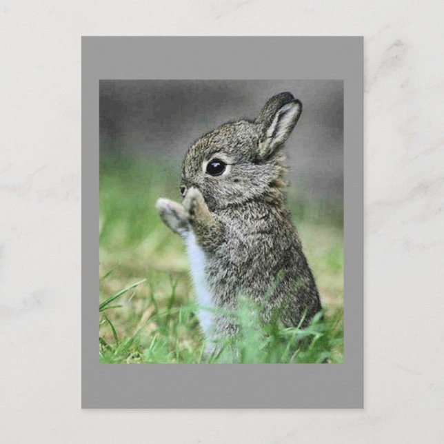 Liebe Bunny Hug Postkarte (Vorderseite)