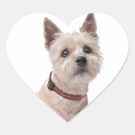 Liebe Cairn Terrier Puppy Dog Grußkleber Herz-Aufkleber