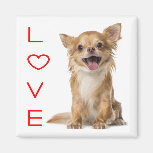 Liebe Chihuahua Welpe Hund Kühlschrankmagnet