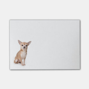 Liebe Chihuahua Welpe Hund Post IT Sticknotes Post-it Klebezettel