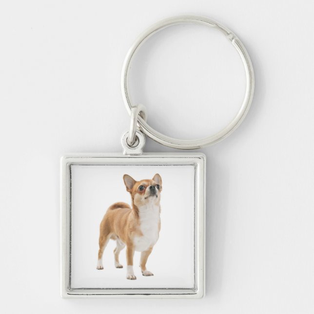 Liebe Chihuahua Welpe Hund Schlüsselkette Schlüsselanhänger (Vorne)