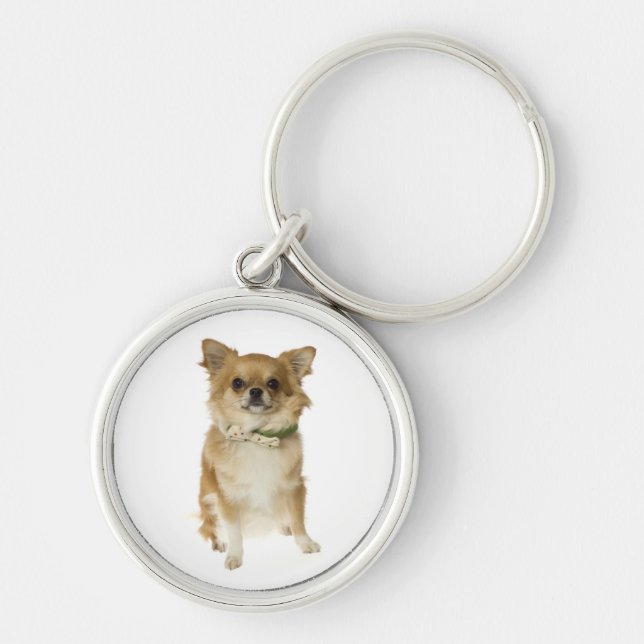 Liebe Chihuahua Welpe Hund Schlüsselkette Schlüsselanhänger (Vorne)