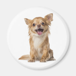 Liebe Chihuahua-Welpen-Hund-Kühlschrankmagnet Magnet