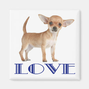 Liebe Chihuahua-Welpen-Hund-Kühlschrankmagnet Magnet