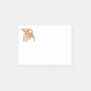 Liebe Chihuahua Welpen Hund Post IT Haftnotizen Post-it Klebezettel