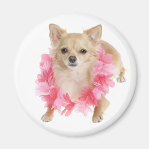 Liebe Chihuahua Welpenhund Magnet