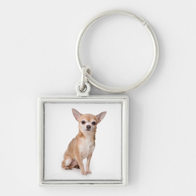 Liebe Chihuahua Welpenhund Schlüsselanhänger (Vorne)