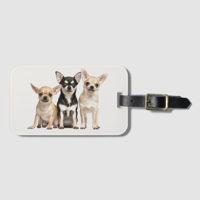 Liebe Chihuahuas Gepäckanhänger (Vorderseite (Horizontal))