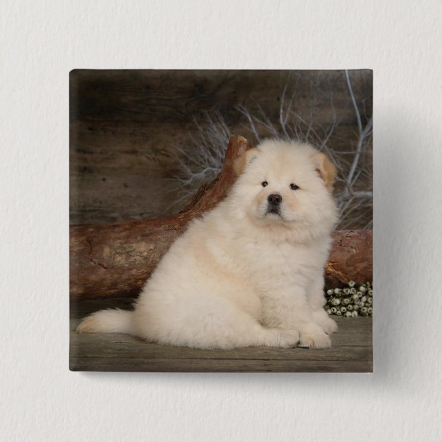 Liebe Chow Chow Puppy Hund Button Button (Vorderseite)