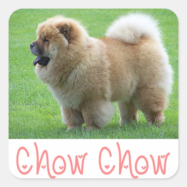 Liebe Chow Chow Welpe Hund Gruß Sticker (Vorderseite)