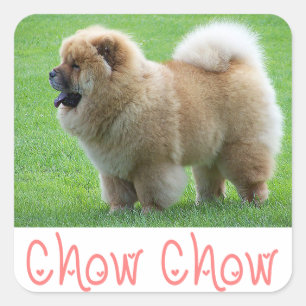 Liebe Chow Chow Welpe Hund Gruß Sticker