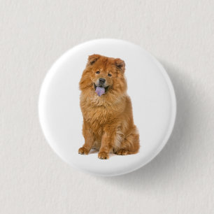Liebe Chow Chow Welpen Hund Button Pin