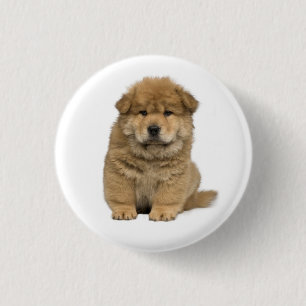 Liebe Chow Chow Welpen Hund Button Pin