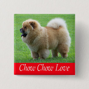 Liebe Chow Chow Welpen-Hund-Button-Pin Button