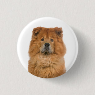 Liebe Chow Chow Welpen-Hund Knopf Pin Button
