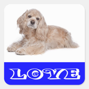 Liebe Cocker Spaniel Welpen Hund Aufkleber