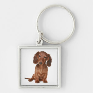 Liebe Dachshund Welpen Hund Schlüsselanhänger
